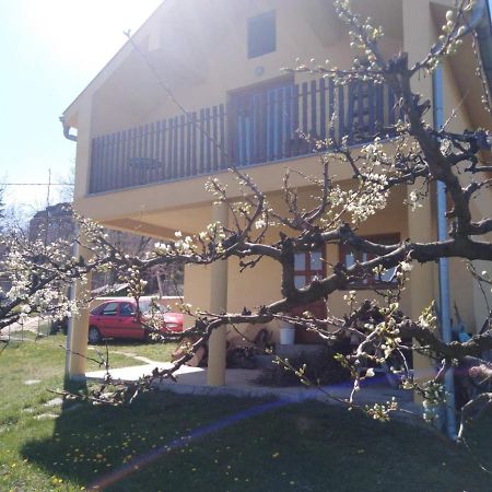 Dedinje Villa Jagodina Luaran gambar