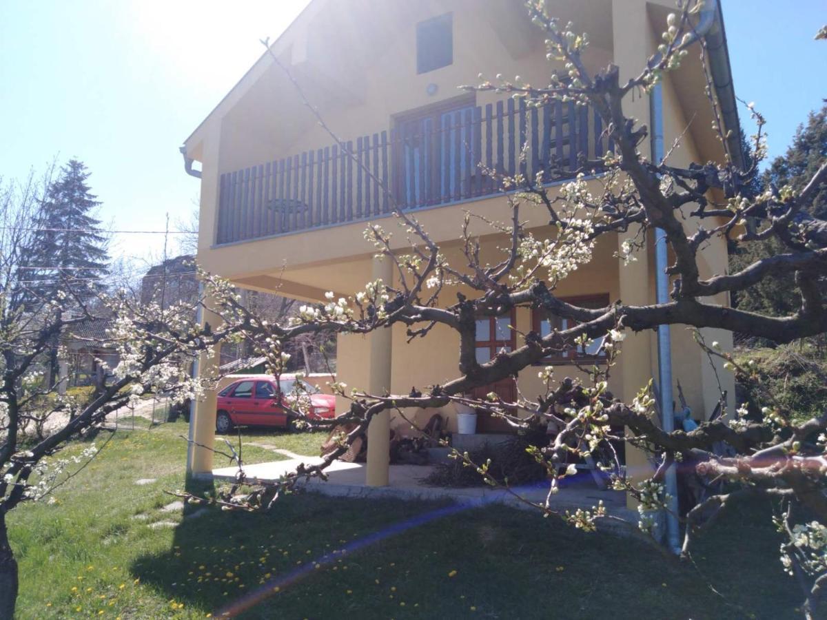 Dedinje Villa Jagodina Luaran gambar