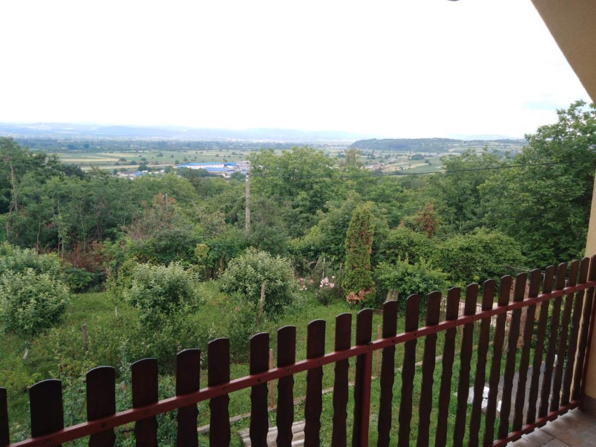 Dedinje Villa Jagodina Luaran gambar
